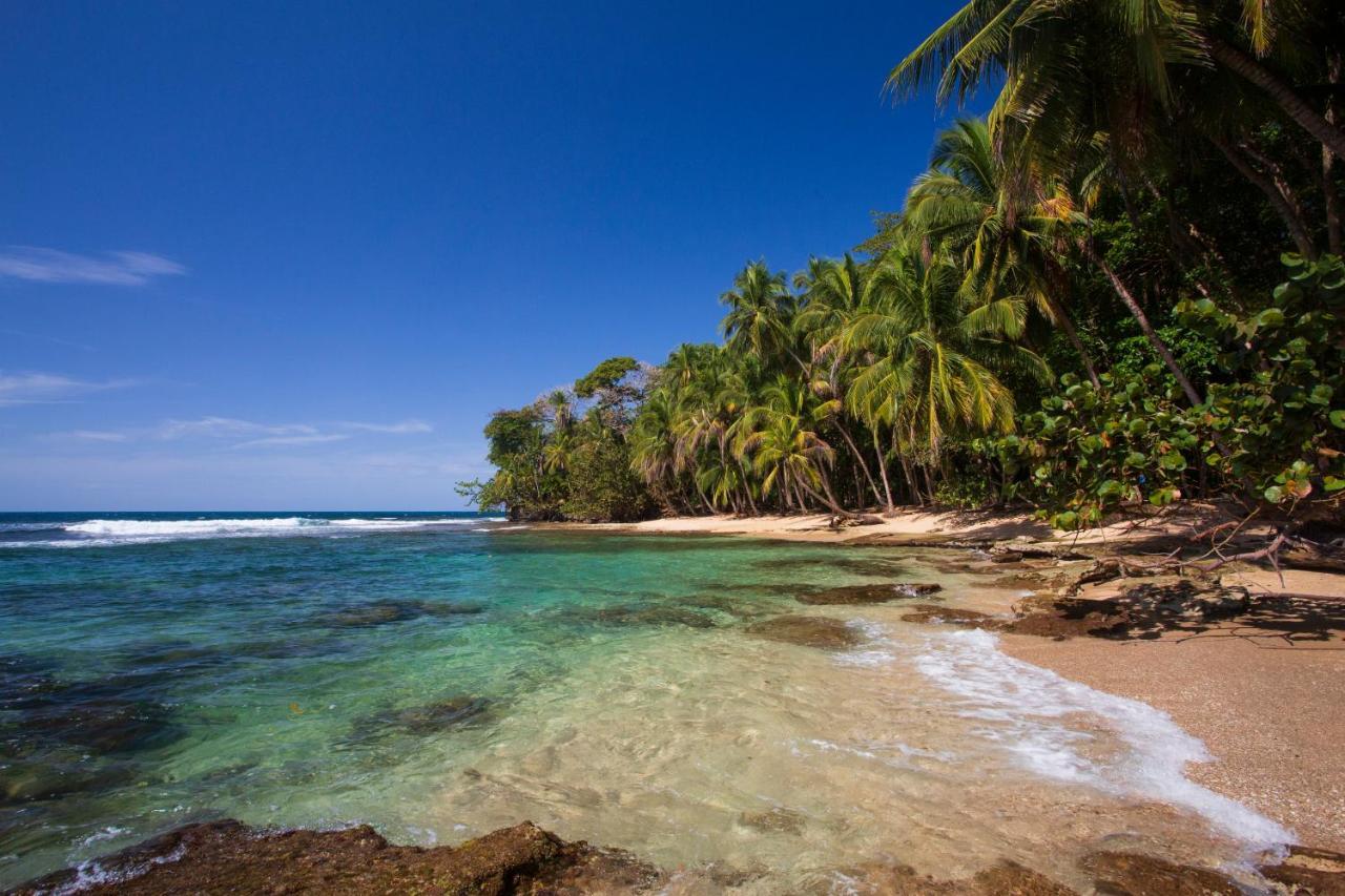 Manzanillo Caribbean Resort Puerto Viejo de Talamanca Екстер'єр фото