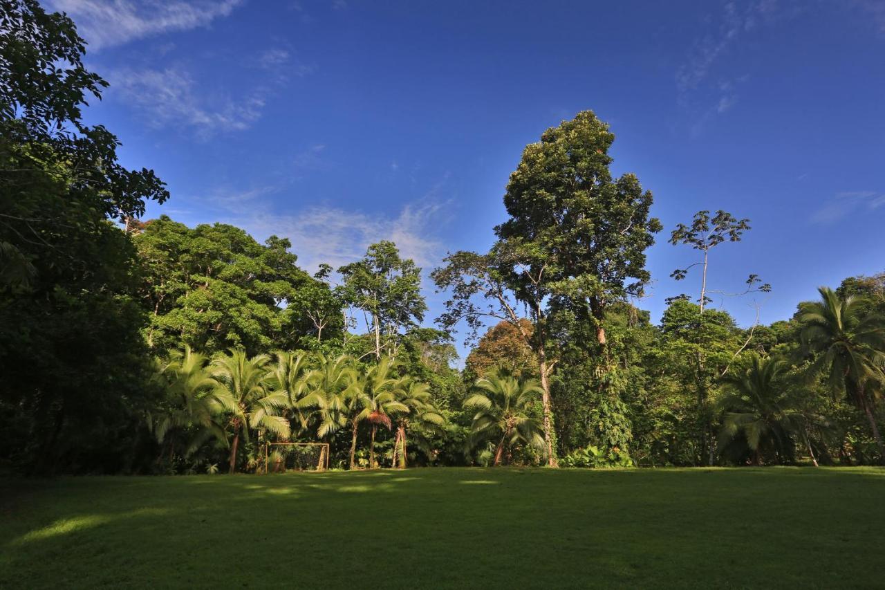 Manzanillo Caribbean Resort Puerto Viejo de Talamanca Екстер'єр фото