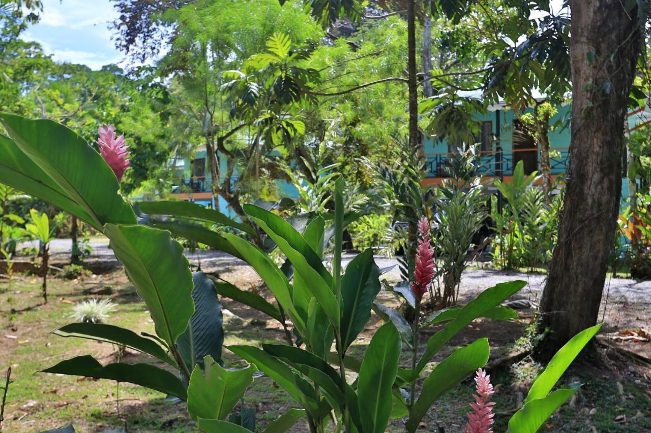 Manzanillo Caribbean Resort Puerto Viejo de Talamanca Екстер'єр фото